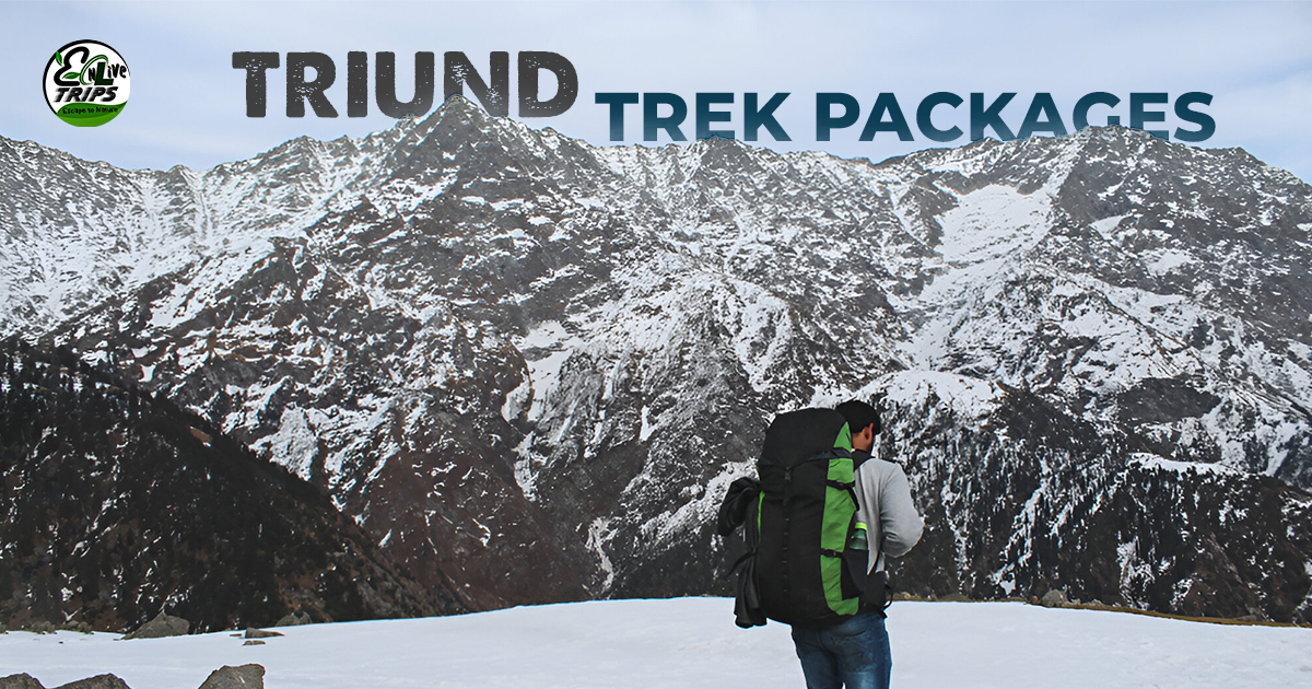 Triund trek packages from Delhi
